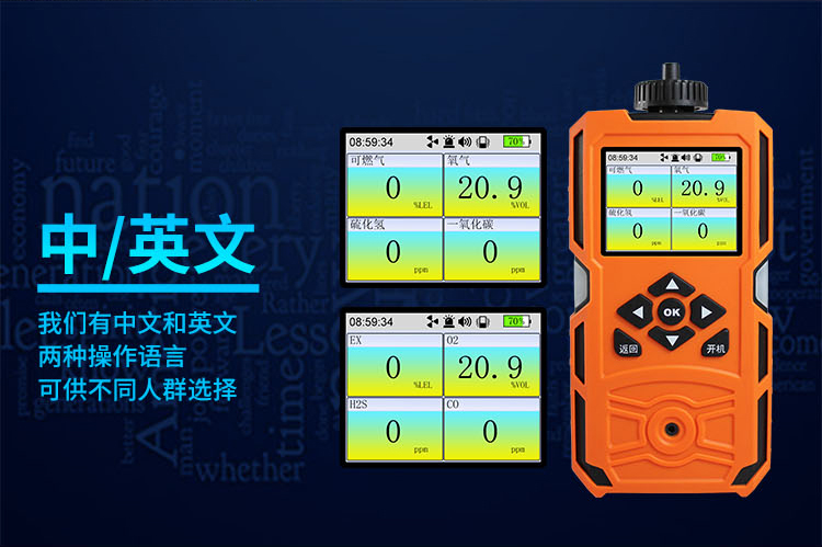 四合一氣體檢測(cè)儀
